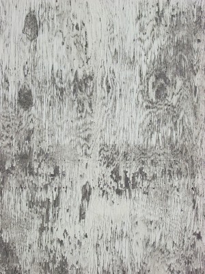 Plywood Texture