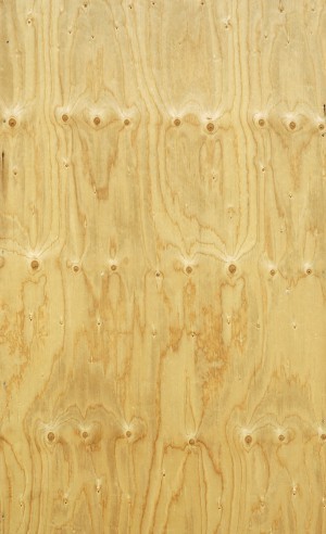 Plywood Texture