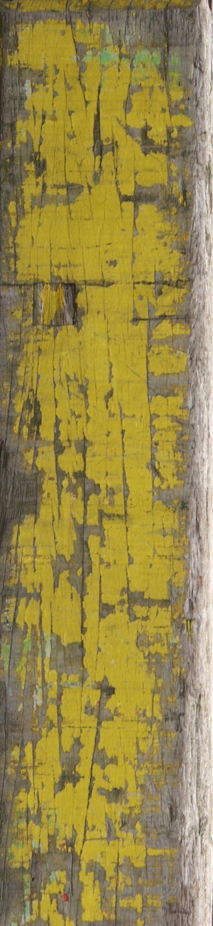 Plywood Texture