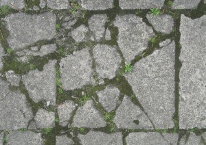 Pavement