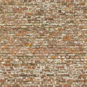 Stone Brick Wall