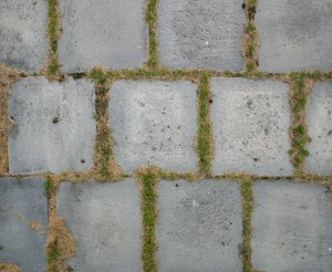 Pavement