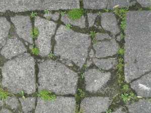 Pavement