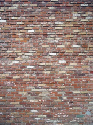 Stone Brick Wall