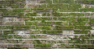 Stone Brick Wall