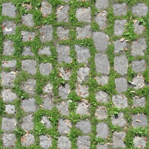 Pavement