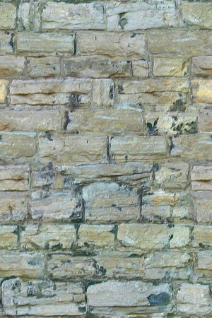 Stone Brick Wall