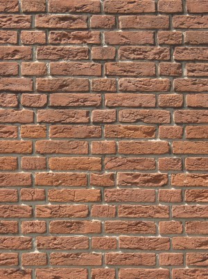 Stone Brick Wall