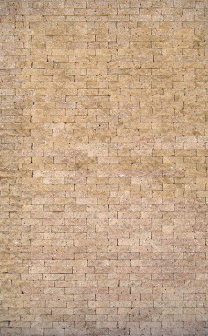 Stone Brick Wall