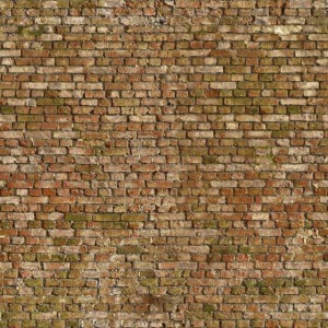 Stone Brick Wall