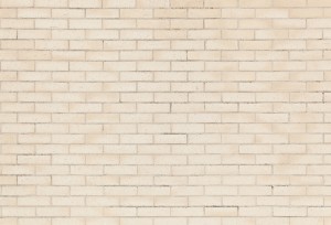 Stone Brick Wall