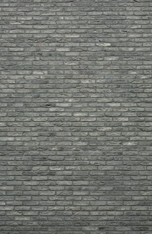 Stone Brick Wall